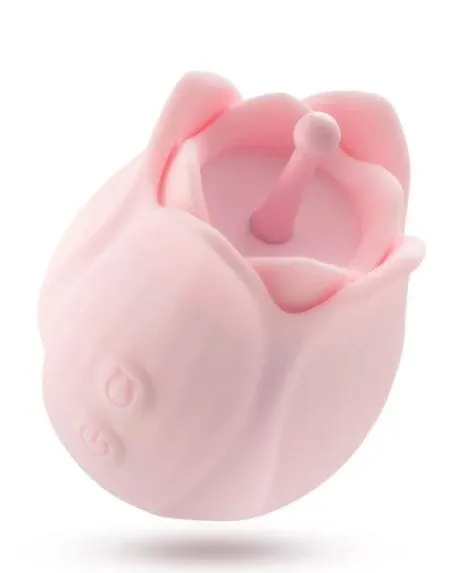 Play with me romantic rose pink Blush Novelties Vibrators