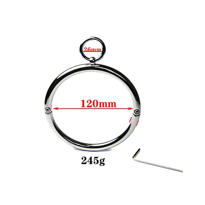 Affordable Dungeon Dildos | Circular Polished Stainless Steel Collar